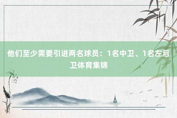 他们至少需要引进两名球员：1名中卫、1名左后卫体育集锦