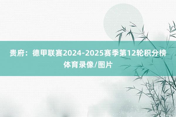 贵府:德甲联赛2024-2025赛季第12轮积分榜体育录像/图片