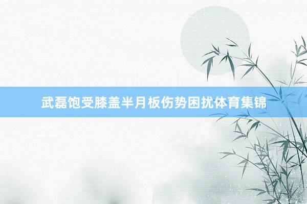 武磊饱受膝盖半月板伤势困扰体育集锦