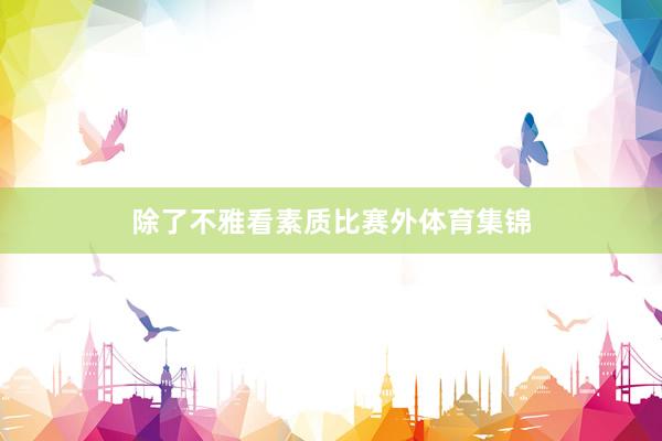 除了不雅看素质比赛外体育集锦