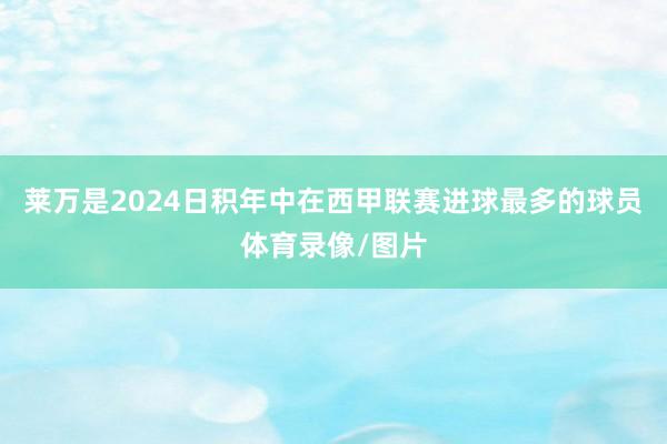 莱万是2024日积年中在西甲联赛进球最多的球员体育录像/图片