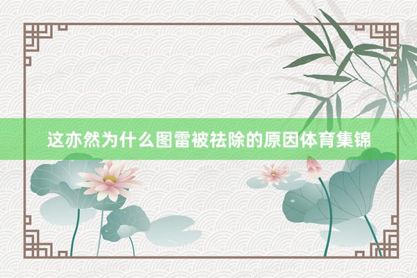 这亦然为什么图雷被祛除的原因体育集锦