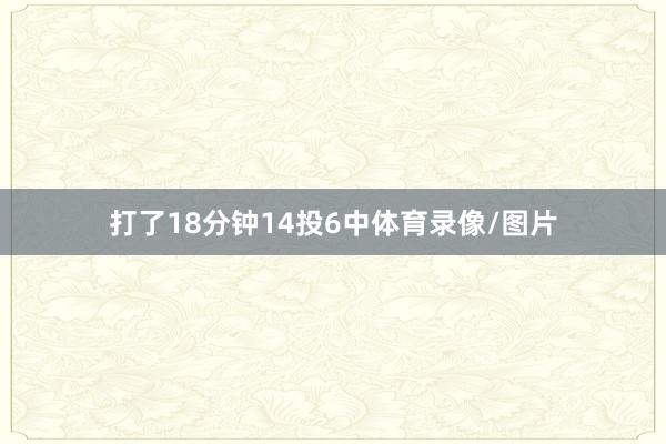 打了18分钟14投6中体育录像/图片