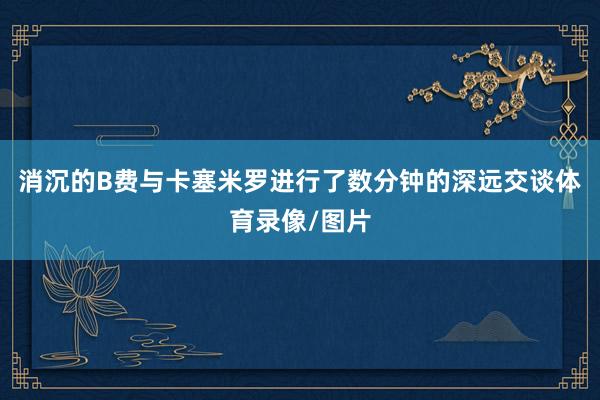消沉的B费与卡塞米罗进行了数分钟的深远交谈体育录像/图片