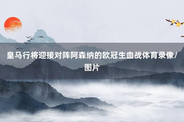 皇马行将迎接对阵阿森纳的欧冠生血战体育录像/图片
