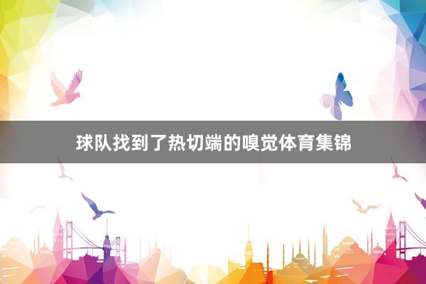 球队找到了热切端的嗅觉体育集锦