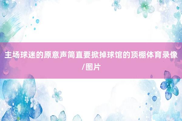 主场球迷的原意声简直要掀掉球馆的顶棚体育录像/图片