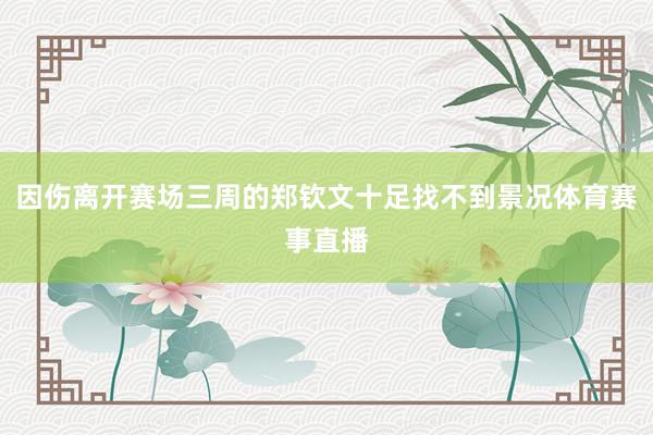 因伤离开赛场三周的郑钦文十足找不到景况体育赛事直播