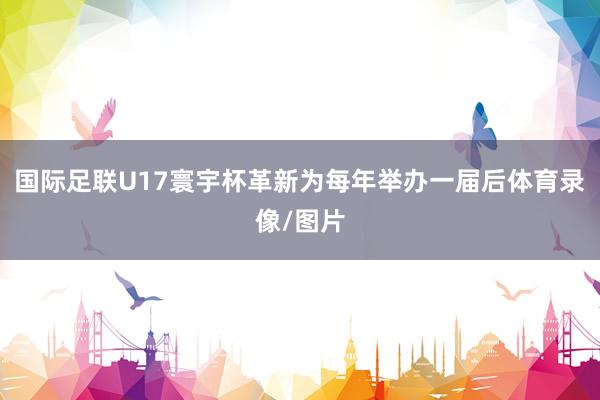 国际足联U17寰宇杯革新为每年举办一届后体育录像/图片
