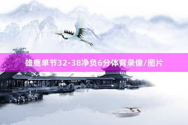 雄鹿单节32-38净负6分体育录像/图片