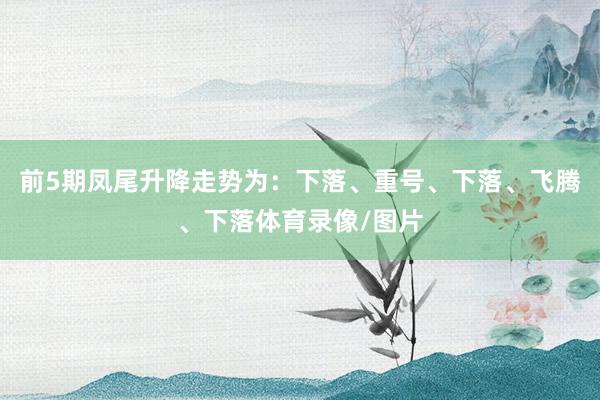 前5期凤尾升降走势为：下落、重号、下落、飞腾、下落体育录像/图片