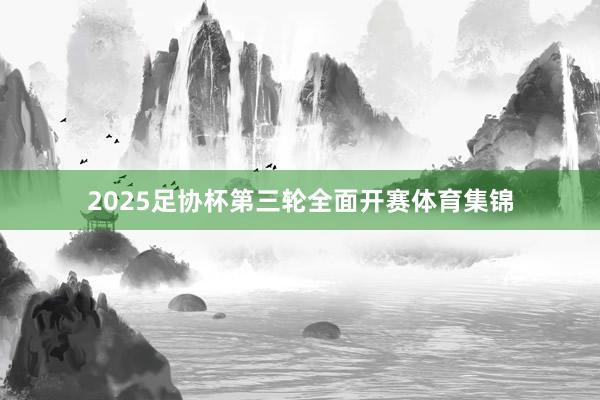2025足协杯第三轮全面开赛体育集锦
