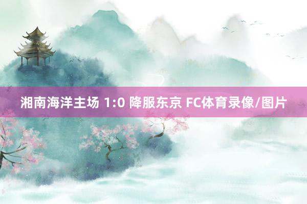 湘南海洋主场 1:0 降服东京 FC体育录像/图片