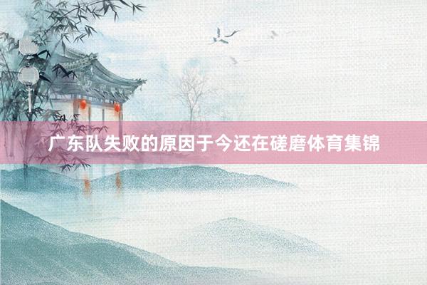 广东队失败的原因于今还在磋磨体育集锦
