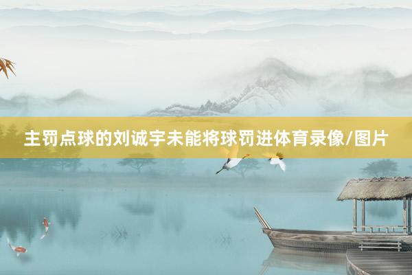 主罚点球的刘诚宇未能将球罚进体育录像/图片