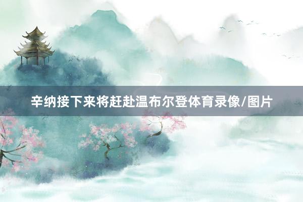 辛纳接下来将赶赴温布尔登体育录像/图片