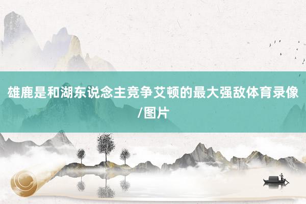 雄鹿是和湖东说念主竞争艾顿的最大强敌体育录像/图片