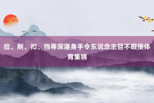 拉、削、扣、挡等深湛身手令东说念主目不暇接体育集锦