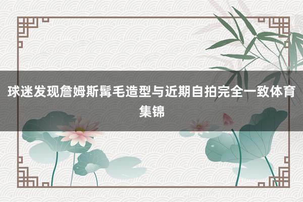 球迷发现詹姆斯髯毛造型与近期自拍完全一致体育集锦