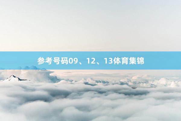 参考号码09、12、13体育集锦