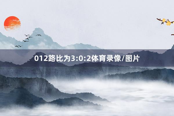 012路比为3:0:2体育录像/图片