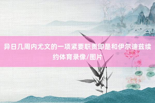 异日几周内尤文的一项紧要职责即是和伊尔迪兹续约体育录像/图片