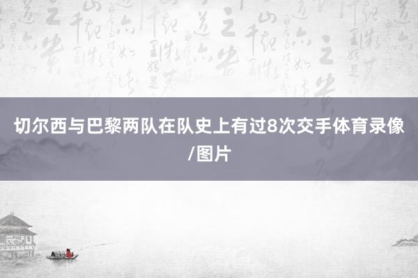 切尔西与巴黎两队在队史上有过8次交手体育录像/图片