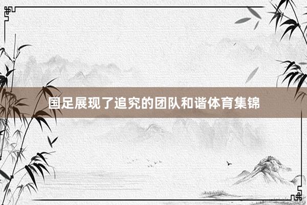 国足展现了追究的团队和谐体育集锦