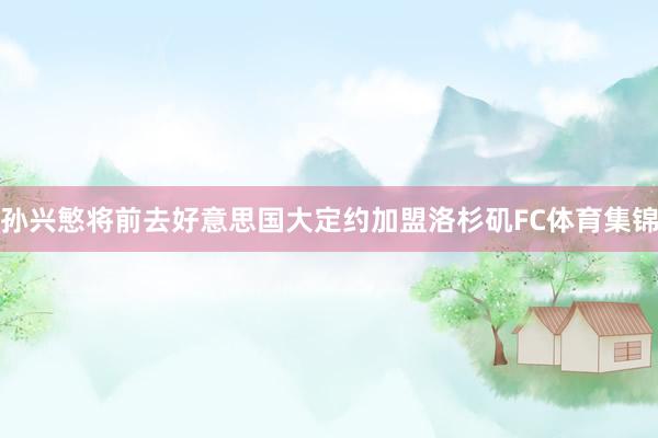 孙兴慜将前去好意思国大定约加盟洛杉矶FC体育集锦