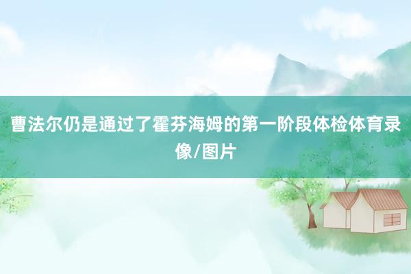 曹法尔仍是通过了霍芬海姆的第一阶段体检体育录像/图片