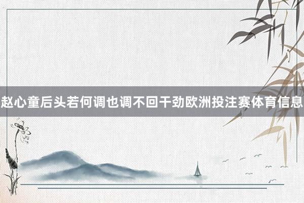 赵心童后头若何调也调不回干劲欧洲投注赛体育信息