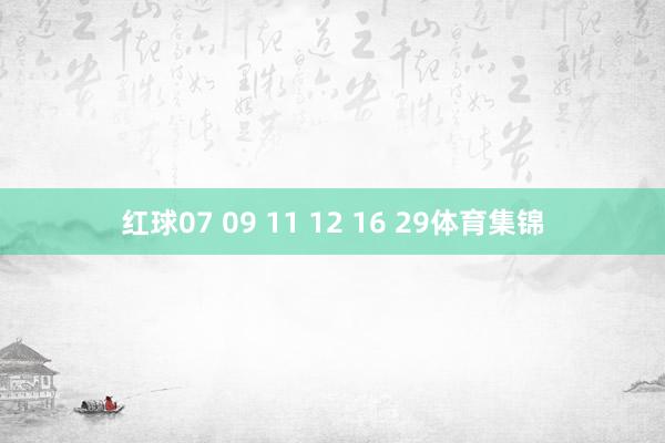 红球07 09 11 12 16 29体育集锦