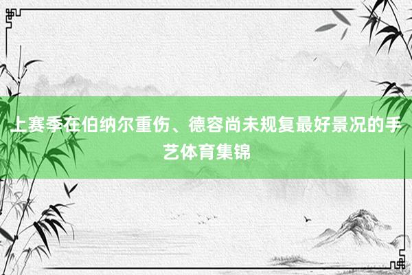 上赛季在伯纳尔重伤、德容尚未规复最好景况的手艺体育集锦