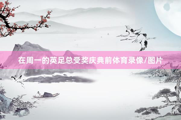 在周一的英足总受奖庆典前体育录像/图片