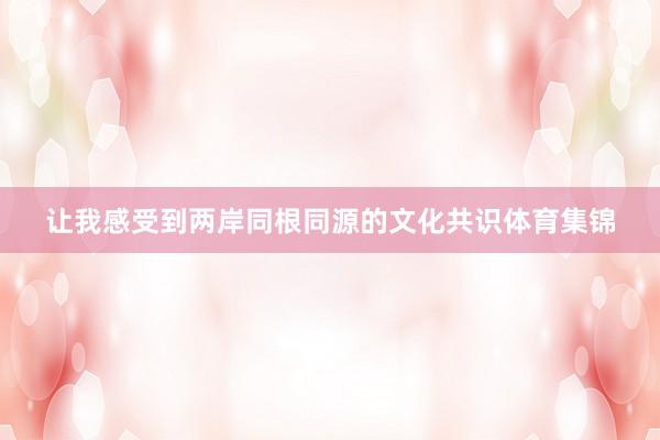 让我感受到两岸同根同源的文化共识体育集锦