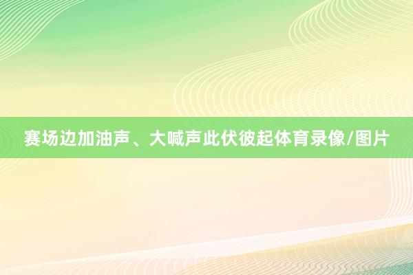赛场边加油声、大喊声此伏彼起体育录像/图片