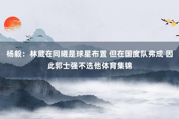 杨毅：林葳在同曦是球星布置 但在国度队弗成 因此郭士强不选他体育集锦