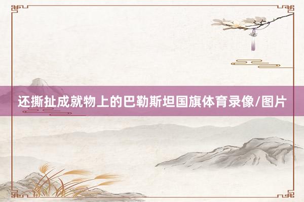 还撕扯成就物上的巴勒斯坦国旗体育录像/图片