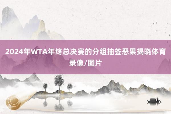 2024年WTA年终总决赛的分组抽签恶果揭晓体育录像/图片