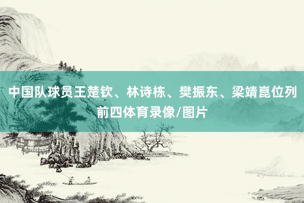 中国队球员王楚钦、林诗栋、樊振东、梁靖崑位列前四体育录像/图片