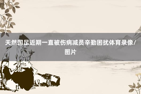 天然国足近期一直被伤病减员辛勤困扰体育录像/图片