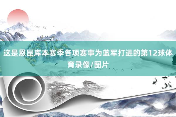 这是恩昆库本赛季各项赛事为蓝军打进的第12球体育录像/图片