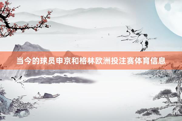 当今的球员申京和格林欧洲投注赛体育信息