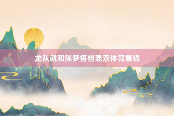 龙队就和陈梦搭档混双体育集锦