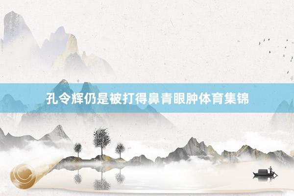 孔令辉仍是被打得鼻青眼肿体育集锦