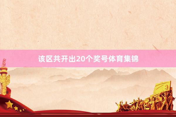 该区共开出20个奖号体育集锦