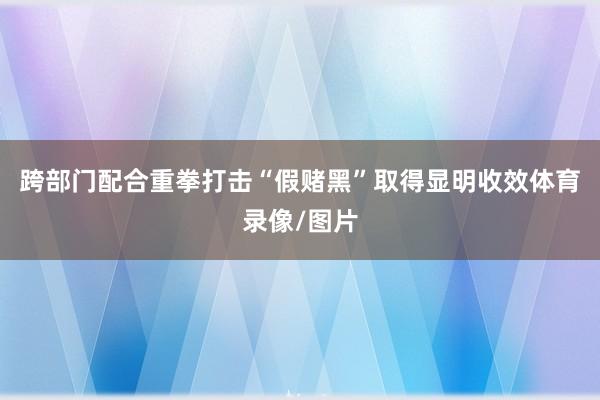 跨部门配合重拳打击“假赌黑”取得显明收效体育录像/图片
