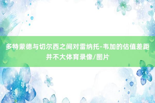 多特蒙德与切尔西之间对雷纳托-韦加的估值差距并不大体育录像/图片