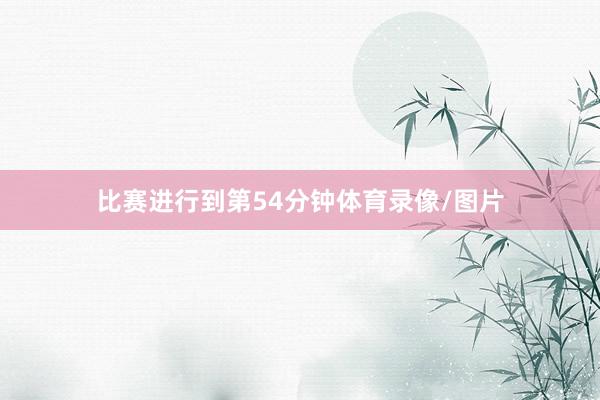 比赛进行到第54分钟体育录像/图片