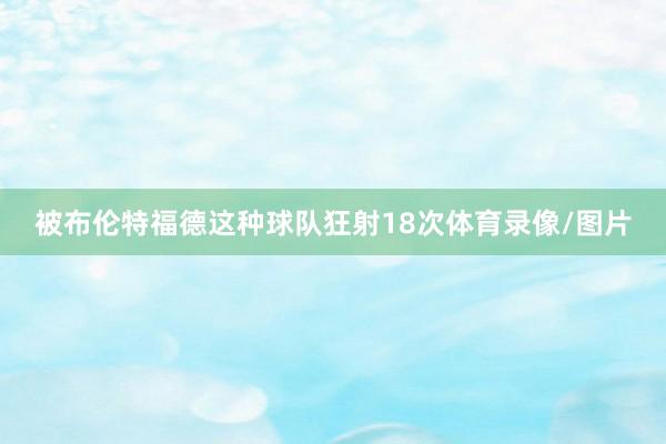 被布伦特福德这种球队狂射18次体育录像/图片